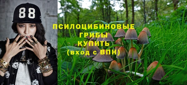 таблы Аркадак