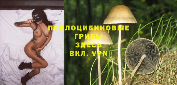 таблы Аркадак